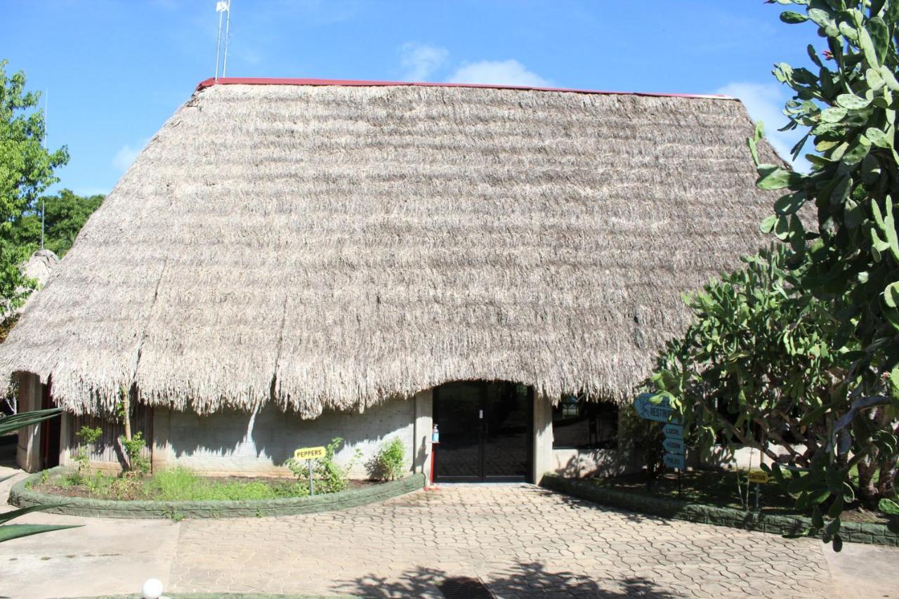 Calico Jack'S Resort Sayab Camp Zewnętrze zdjęcie